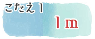 こたえ1　1m