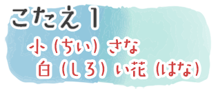 こたえ1　小（ちい）さな白（しろ）い花（はな）