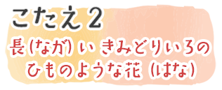 こたえ2　長（なが）い黄緑色（きみどりいろ）のひものような花（はな）