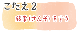 こたえ2　酸素（さんそ）を吸（す）う